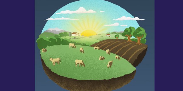 «Die Bäuerinnen und Bauern dürfen bei der Herausforderung einer Betriebsumstellung nicht allein gelassen werden. Sie brauchen starke Partner aus Praxis, Forschung und Handel», heisst es auf der Info-Webiste der Bio-Stiftung Schweiz. (Bild Screenshot pestizidmythen.ch)