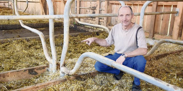 Urs Gygax zeigt bei seinen gegenständigen Boxen auf den Abstand. Dieser beträgt nur 18 cm, es müssten aber laut Tierschutzgesetz 45 cm sein.(Bilder Peter Fankhauser)