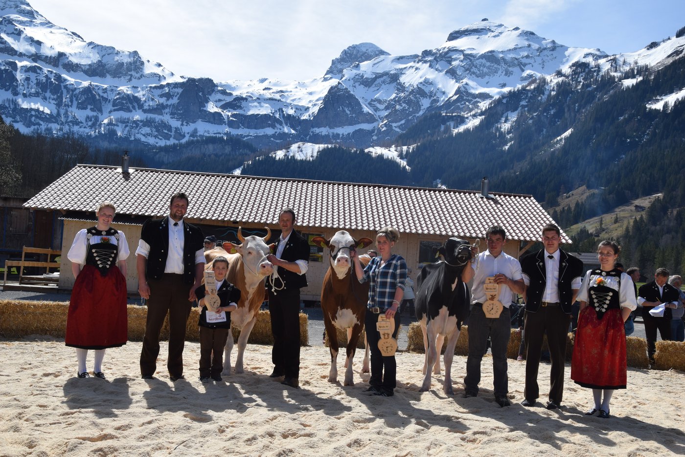 Die drei Rindermissen (v. l. n. r.): Simmental: Pilatus Tina, Florian Zimmermann, St. Stephan BE; Miss Swiss Fleckvieh: Fribis Hardy Leonie, Stefan Rufener, Oeschseite BE und Miss Holstein/Red Holstein wurde Varius P Ociane von Ken Janzi, Zweisimmen BE.