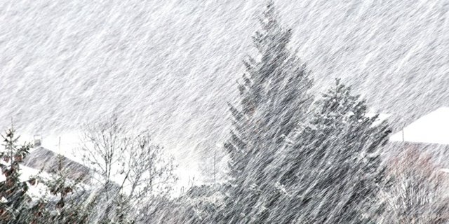 Symbolbild: Schneesturm. (Bild zvg)