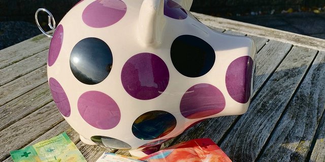 Schweine brachten viele Scheine.  Das bietet Möglichkeiten, in die persönliche Altersvorsorge zu investieren und so Steuern zu sparen.(Bild Josef Scherer)