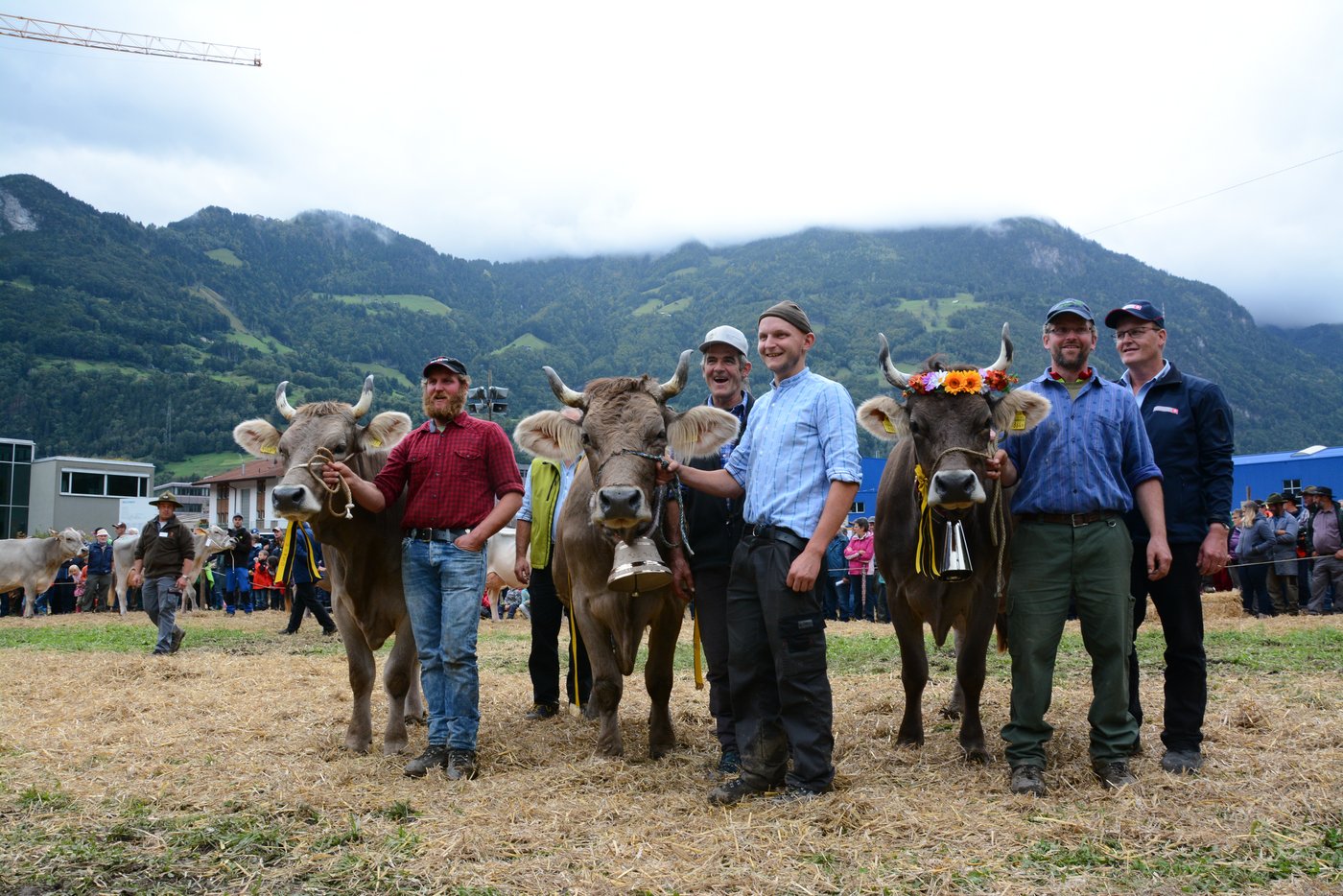 Podest der OB-Kühe (v.l.n.r.): 3. Rang für Madeira von Theo und Toni Kempf, Attinghausen, Siegerin Belinda von Gusti Zurfluh, Isenthal, Zweitplatzierte Waespi von Ruedi Briker, Flüelen.