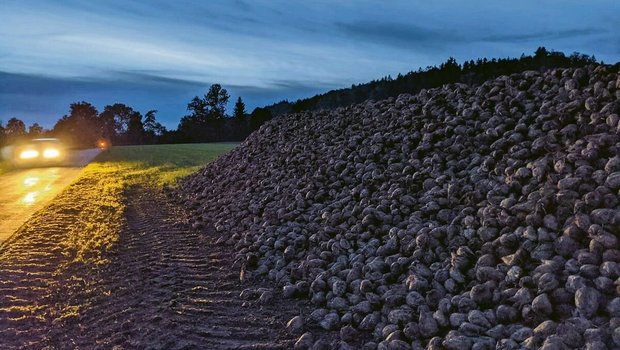 Die Stützungsmassnahmen für die Schweizer Zuckerproduktion bleiben erhalten – und werden sogar verstärkt. Dies freut die Zuckerrübenproduzenten und -produzentinnen. Für sie war es ein langes Tappen im Dunkeln.