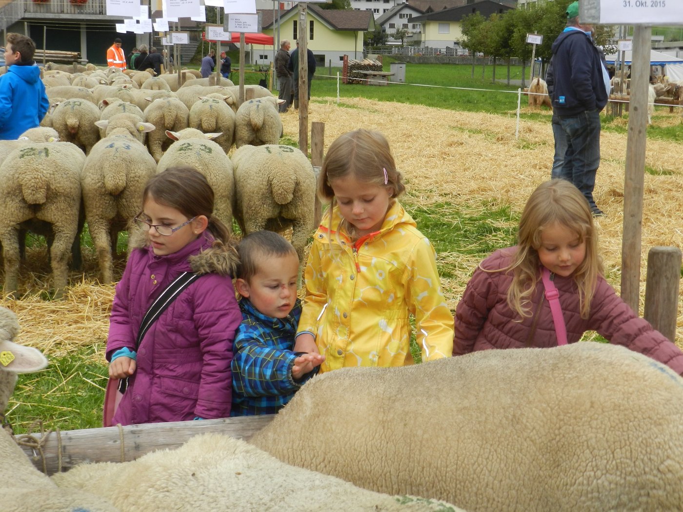 Für die Kinder haben die niedlichen Tiere immer wieder eine magische Anziehungskraft.