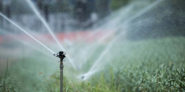 Nach dem trockenen Sommer 2018 beunruhigt die Trockenheit diesen Frühling die Bauern in Schweden und Dänemark erneut. (Bild landwirtschaft.ch, Severin Leber)