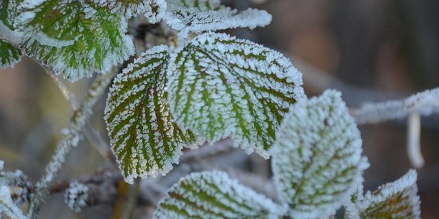 In einer klaren Nacht kühlt sich die Luft vom Boden her ab. (Bild ag)