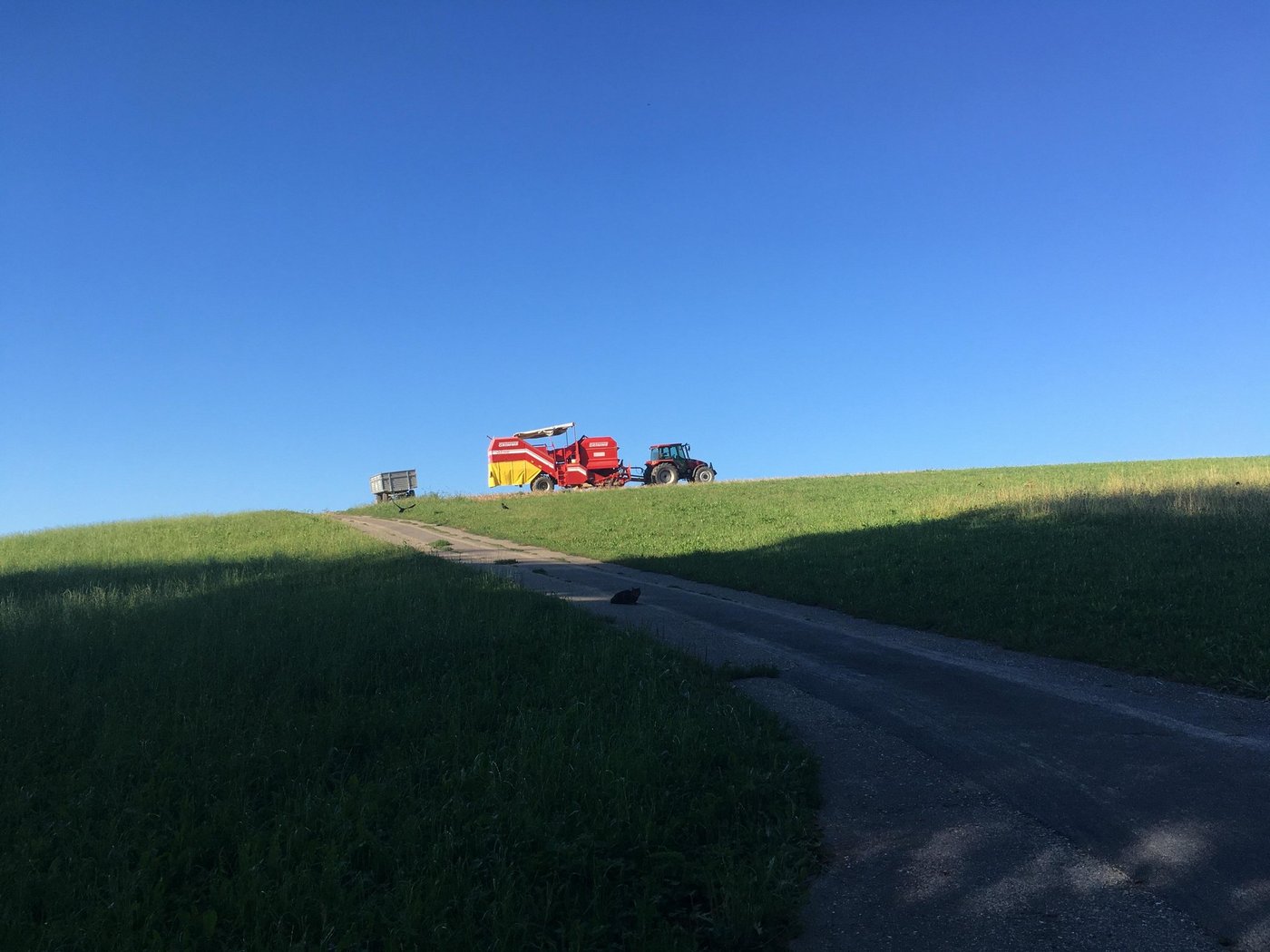 Mehr Schatten als Licht: Bauern, die Frites-Kartoffeln produzieren, müssen dieses Jahr wegen der Corona-Pandemie mit Anbaukürzungen leben. (Bild Jil Schuller/BauernZeitung)