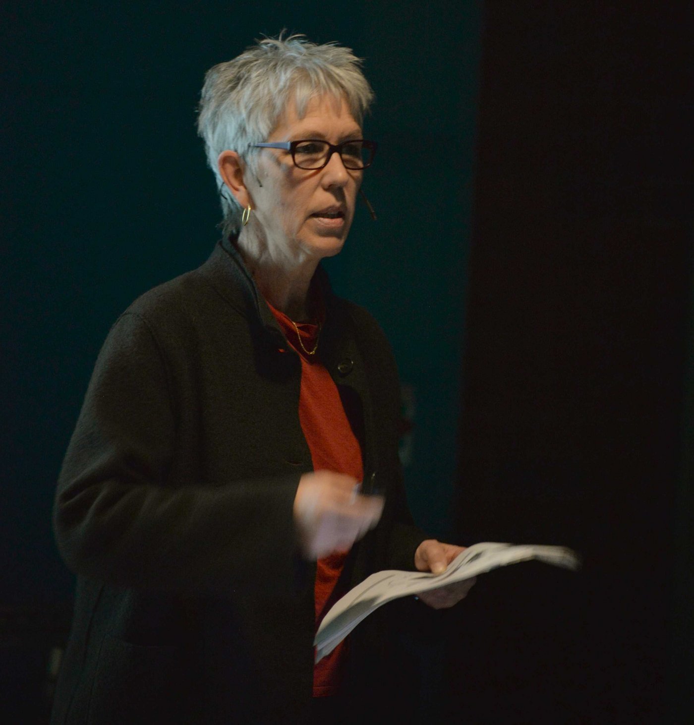 Nach der kurzen Vorstellung des Buches kreuzten Regina Fuhrer (Bild) und Jan Atteslander (nächstes Bild) die Klingen. Die Präsidentin der Kleinbauernvereinigung warb für die Spekulationsstopp-Initiative, ...