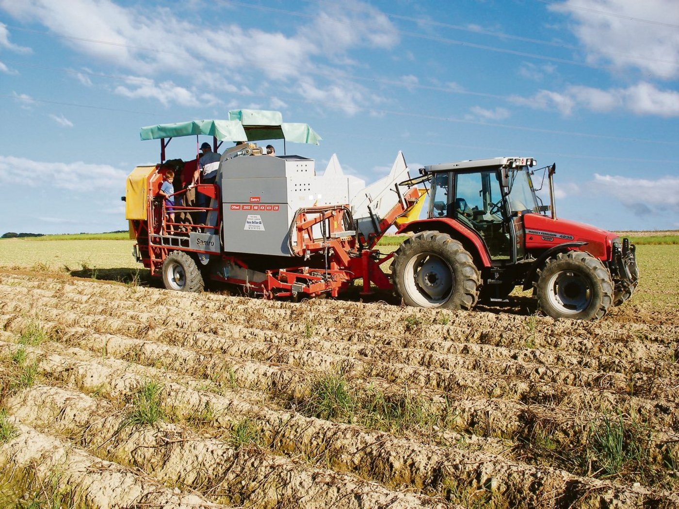 Beim Graben der an sich guten Kartoffelernte gibt es für die Bauern hie und da Überraschungen wegen Drahtwurmschäden und fauler Knollen.(Bild SBV)