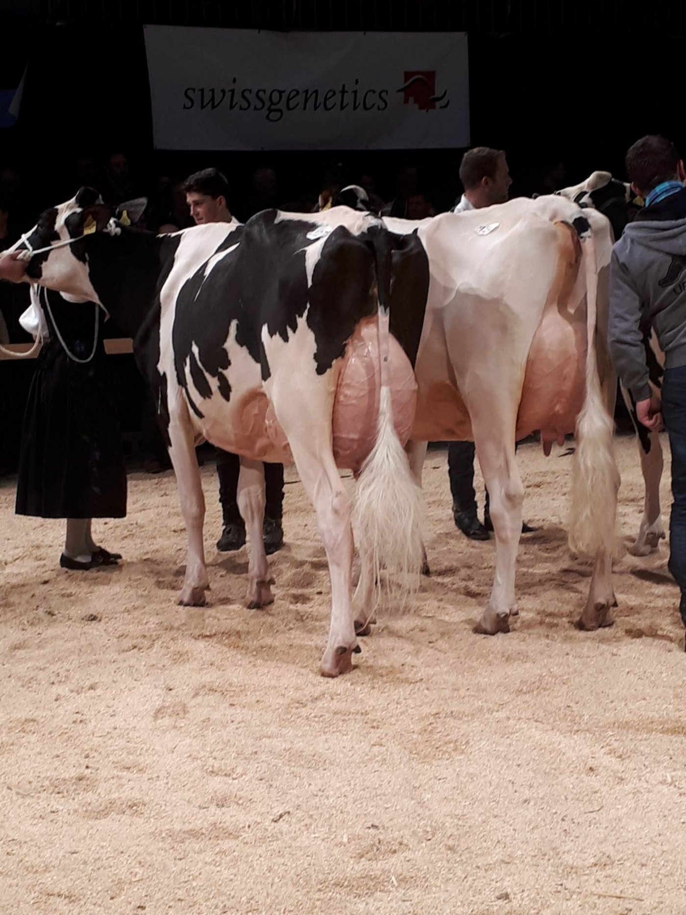 Die Entscheidung in der Kategorie 15 HO und RF.