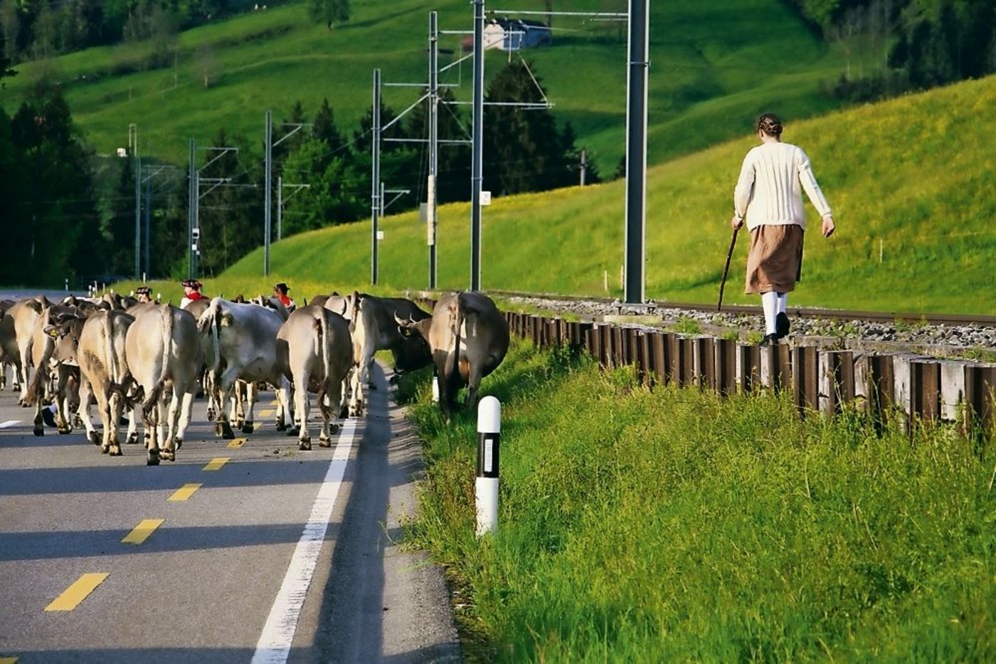 Andrea gibt Acht, dass keine Kuh auf die Geleise gerät. Das geht am besten von oben.