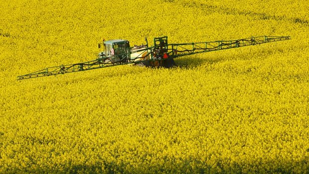 Die EFSA macht Forderung nach Offenlegung von Studien zur Pflanzenschutzmittelzulassung. (Bild zVg)