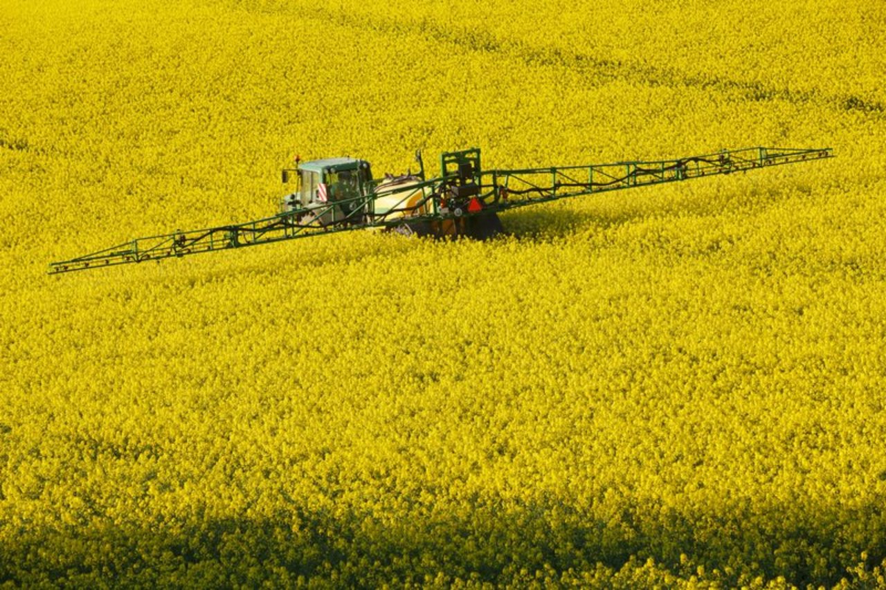 Die EFSA macht Forderung nach Offenlegung von Studien zur Pflanzenschutzmittelzulassung. (Bild zVg)