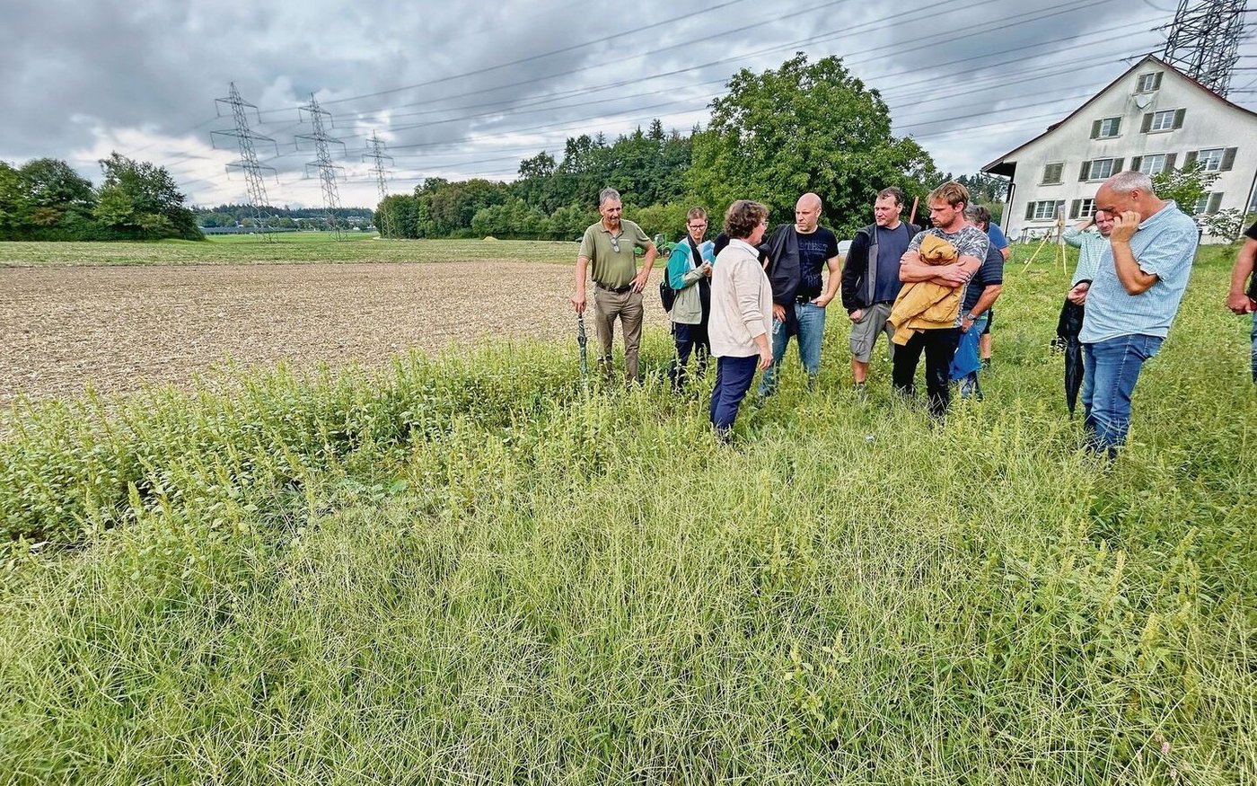 Strickhof-Beraterin Barbara Stäheli (l. mit weisser Bluse) bringt den Teilnehmern die Vorzüge von Saum auf Acker näher.