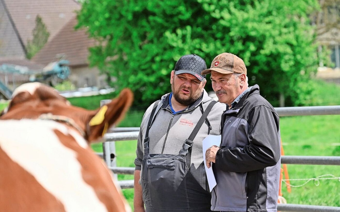 Die Experten Jürg Brönnimann (l.) und Werner Walter schauen bei der Zuchtfamilienschau ganz genau hin. 