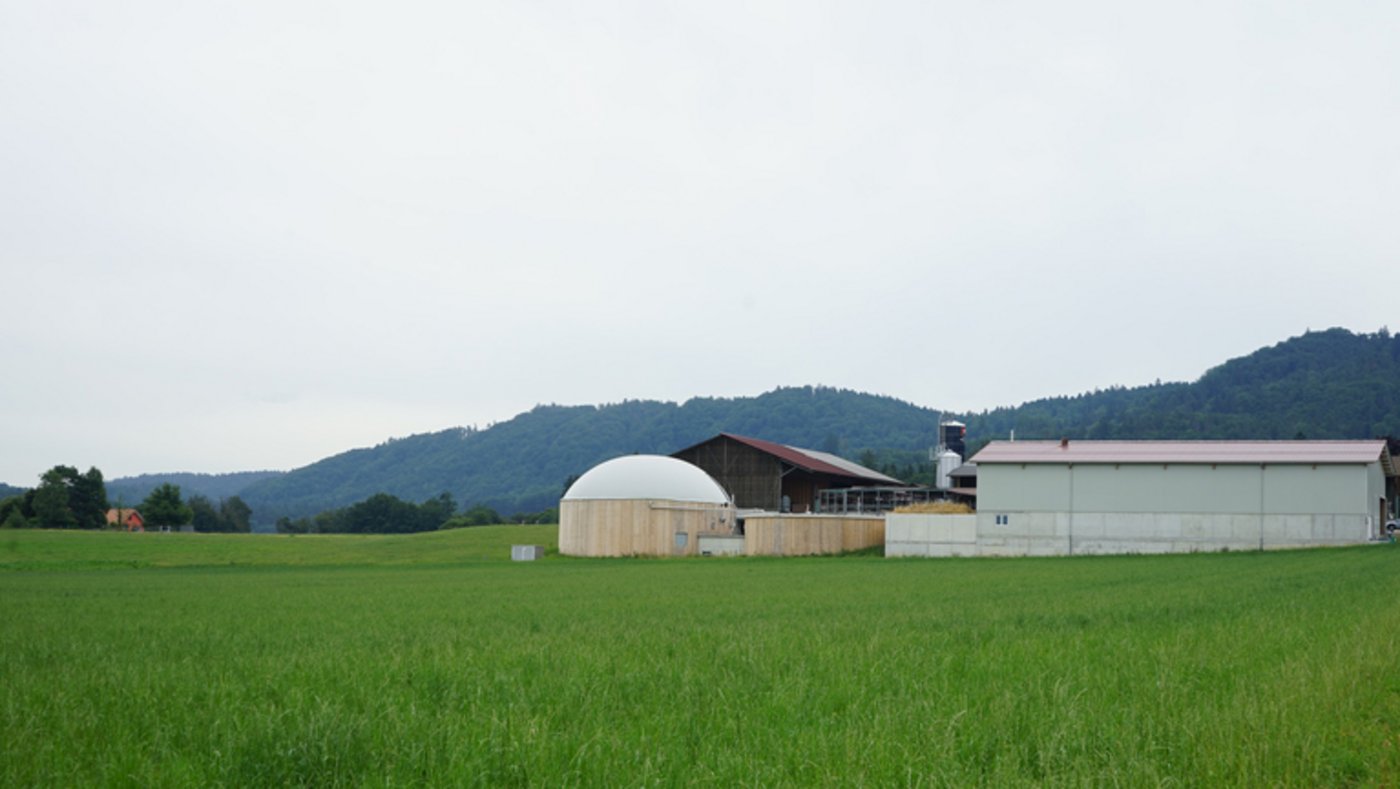„Mit unserer Fotovoltaik-Anlage produzieren wir so viel Strom, dass wir manchmal gar nicht alles einspeisen können."