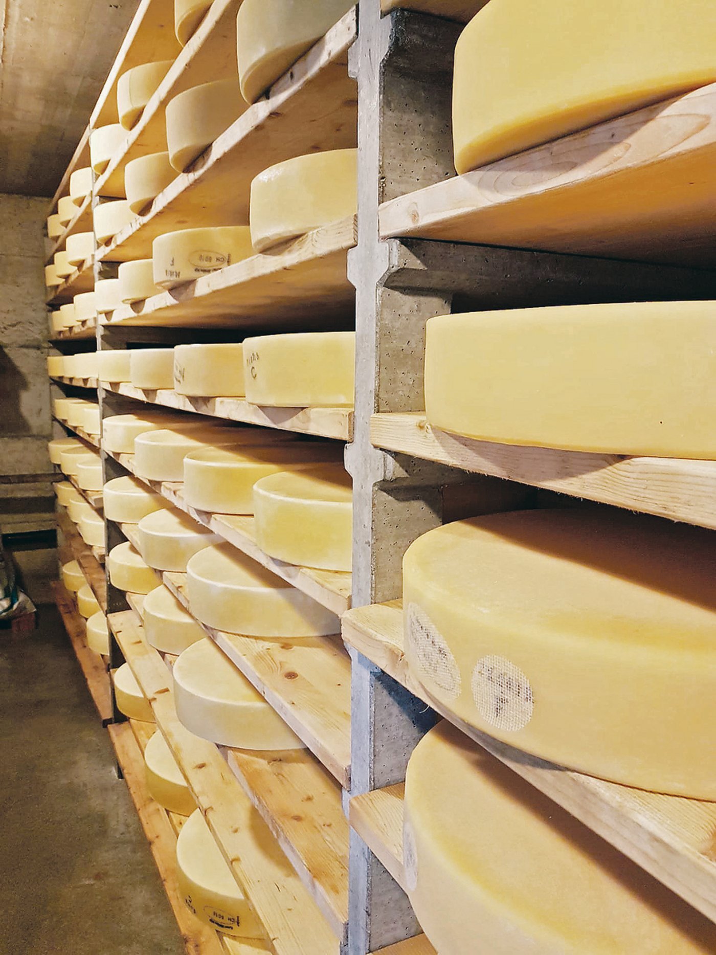 Der Käsekeller ist voll: Auf der Alp wird Berner Alpkäse AOP produziert. 