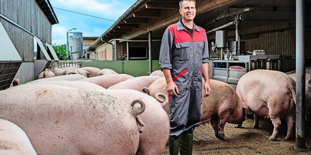 Peter Anderhubs Schweine tragen Ringelschwänze – in der Schweiz normal, in Deutschland vielerorts noch Zukunftsmusik.