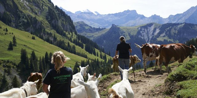 Momentan brauche es viele Freiwillige für das Berner Oberland und die Zentralschweiz. (Bild Franca Pedrazzetti)