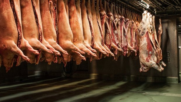 Coronavirus: Proviande will per Notrecht Importe stoppen Um Preiszusammenbrüche zu vermeiden, will der Verwaltungsrat von Proviande beim Bundesrat eine Kostenbeteiligung an Marktentlastungsmassnahmen beantragen. (Bild Markus Bühler)