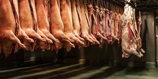 Um Preiszusammenbrüche zu vermeiden, will der Verwaltungsrat von Proviande beim Bundesrat eine Kostenbeteiligung an Marktentlastungsmassnahmen beantragen. (Bild Markus Bühler)