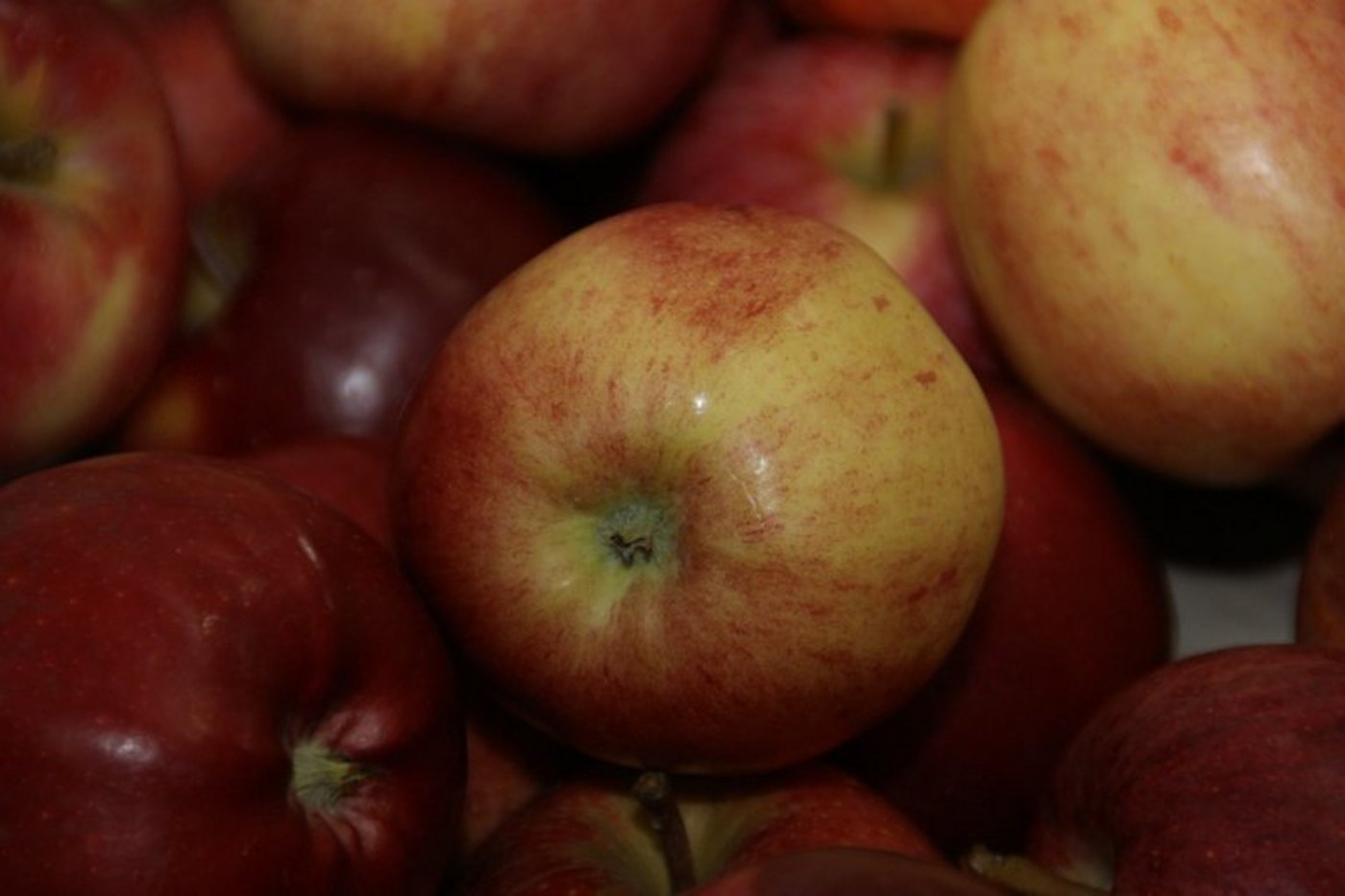 Vor allem in Polen geht die Apfel-Ernte deutlich zurück. (Symbolbild lid)