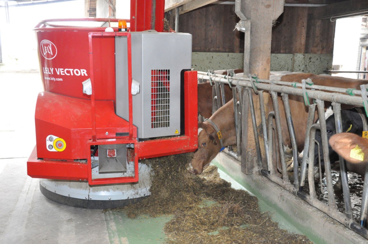 Fütterungsroboter mischen Futter und legen es den Kühen vor. 