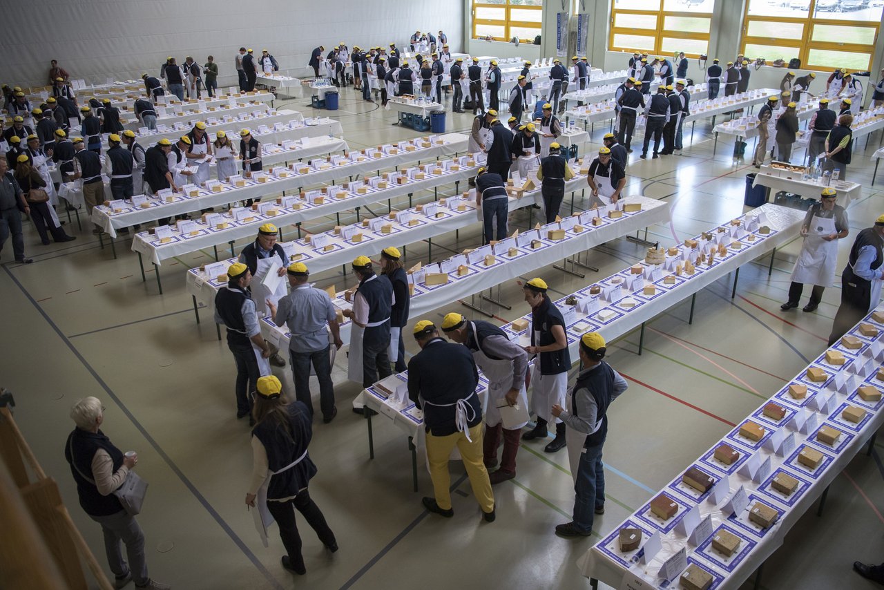 Viel Arbeit wartet auf die Jury an den Swiss Cheese Awards 2018: Mit mehr als 900 Anmeldungen wurde ein neuer Rekord von Käseproben erreicht. (Bild Fromarte/Marcel Bieri)
