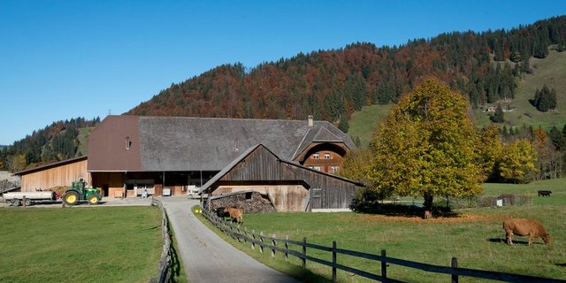 Früher waren berg- und stadtnahe Gebiete wichtige Brennpunkte für die Umstellung auf den ökologischen Landbau, doch heute weist auch das ländliche Tiefland eine ähnliche Umstellungsrate auf. (Symbolbild Miriam Kolmann)
