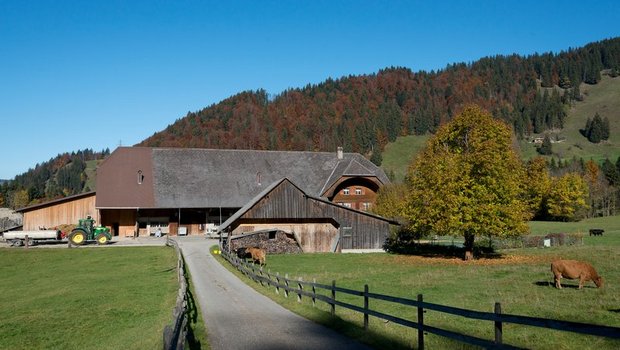 Früher waren berg- und stadtnahe Gebiete wichtige Brennpunkte für die Umstellung auf den ökologischen Landbau, doch heute weist auch das ländliche Tiefland eine ähnliche Umstellungsrate auf. (Symbolbild Miriam Kolmann)