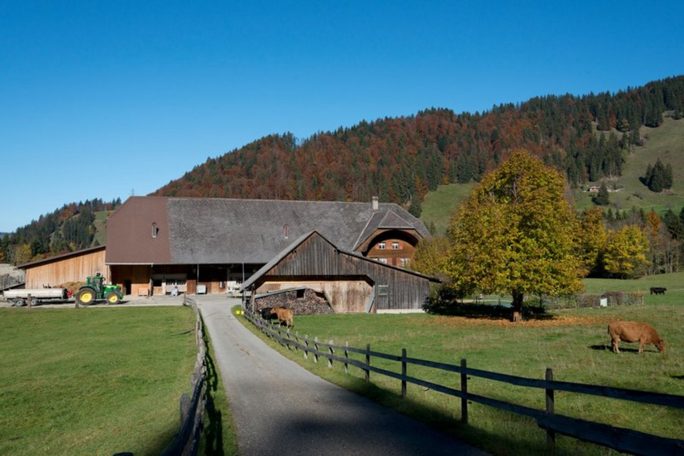 Früher waren berg- und stadtnahe Gebiete wichtige Brennpunkte für die Umstellung auf den ökologischen Landbau, doch heute weist auch das ländliche Tiefland eine ähnliche Umstellungsrate auf. (Symbolbild Miriam Kolmann)