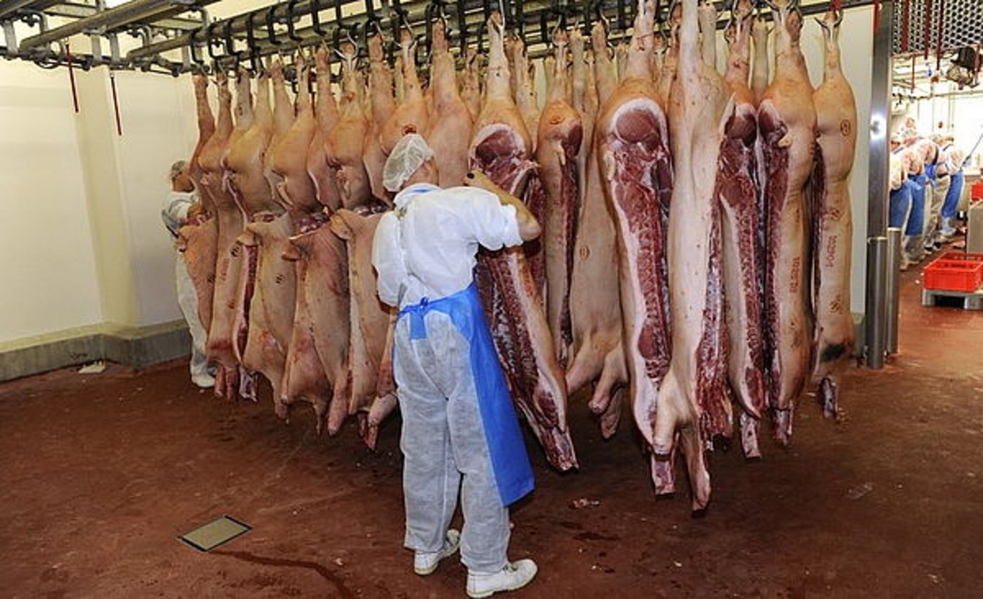 Zuletzt waren im Jahr 1990 weniger Tiere im Nachbarland geschlachtet worden. (Bild Gustavo Alêbiso)