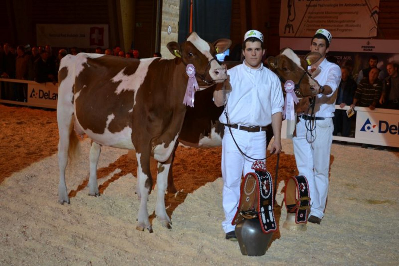 Junior Champion (links): Schuwey Destry Bianca, Beat und Tobias Schuwey, Jaun / Reserve Junior Champion: La Waebera Carat Cigale, Michel & Söhne Clement, Le Mouret