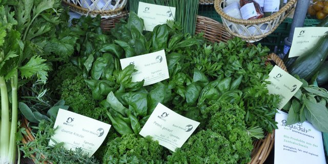 Die Absenkpfade seien mutig zu beschreiten, mit Bio in einer wichtigen Rolle. (Bild Bio Suisse)