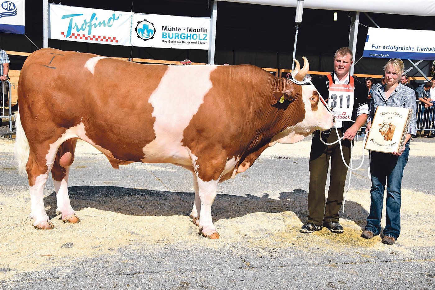 Den Titel bei den Simmentalern holte sich Hektor Ami von Michael und Fränzi Gerber aus Heimenschwand BE.  