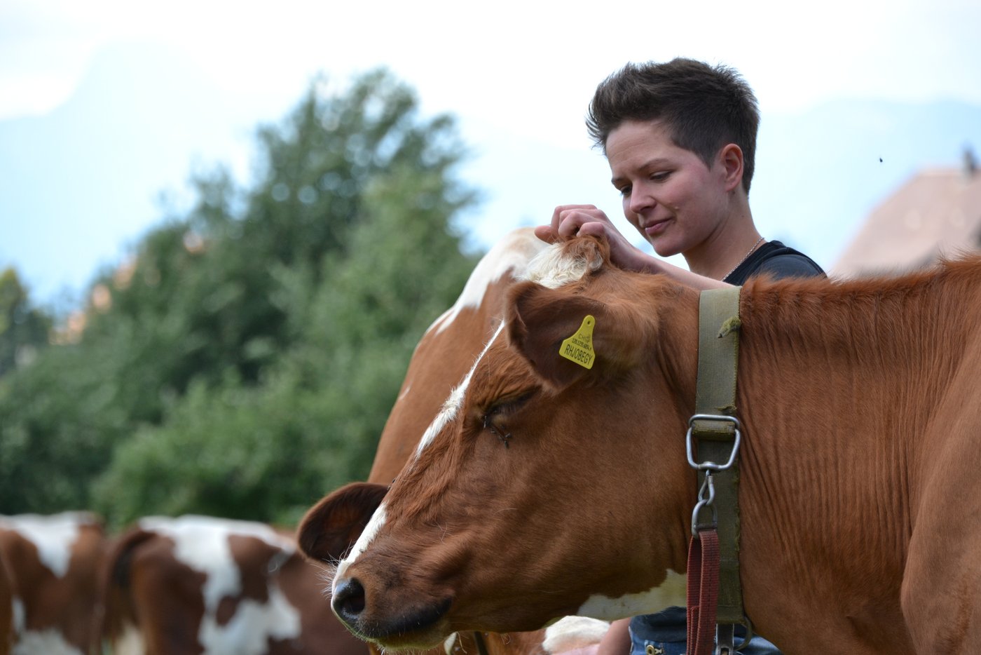 Rahel Joss führt seit einem Jahr den GysiHof, der neben 45 anderen Betrieben am Pilotprojekt "Klimafreundliche Milch" teilnimmt.