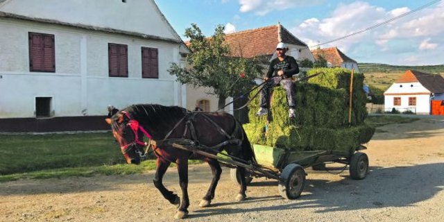 Alltäglicher Anblick im hügeligen Siebenbürgen: Pferdefuhrwerke, hier eines mit Heuballen. Die Kleinballenpressen sind in Rumänien noch weit verbreitet, da Logistik für Grossballen meist fehlt. (Bilder akr)