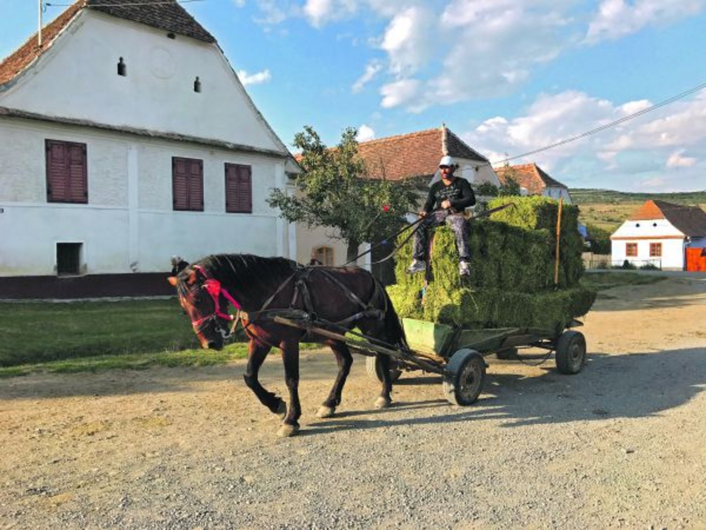 Alltäglicher Anblick im hügeligen Siebenbürgen: Pferdefuhrwerke, hier eines mit Heuballen. Die Kleinballenpressen sind in Rumänien noch weit verbreitet, da Logistik für Grossballen meist fehlt. (Bilder akr)