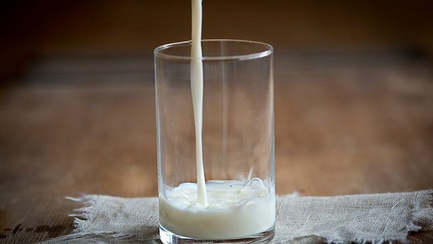 Mitverantwortlich für das Minus auf dem Milchmarkt bei der jüngsten Handelsrunde waren die Wertkorrekturen für Milchpulver. (Bild Pixabay)