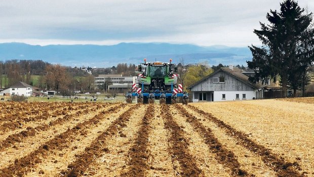 Mit dem Strip-Till-V Mit dem Strip-Till-Verfahren ersetzt der Rübenbauer den konventionellen Pflug. Nur die Saatreihen werden bearbeitet.