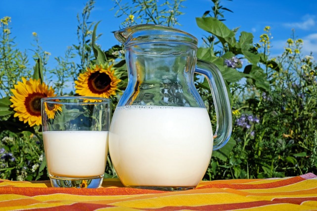 Uniterre setzt sich für eine Erhöhung des Milchpreises ein. (Bild pixabay)