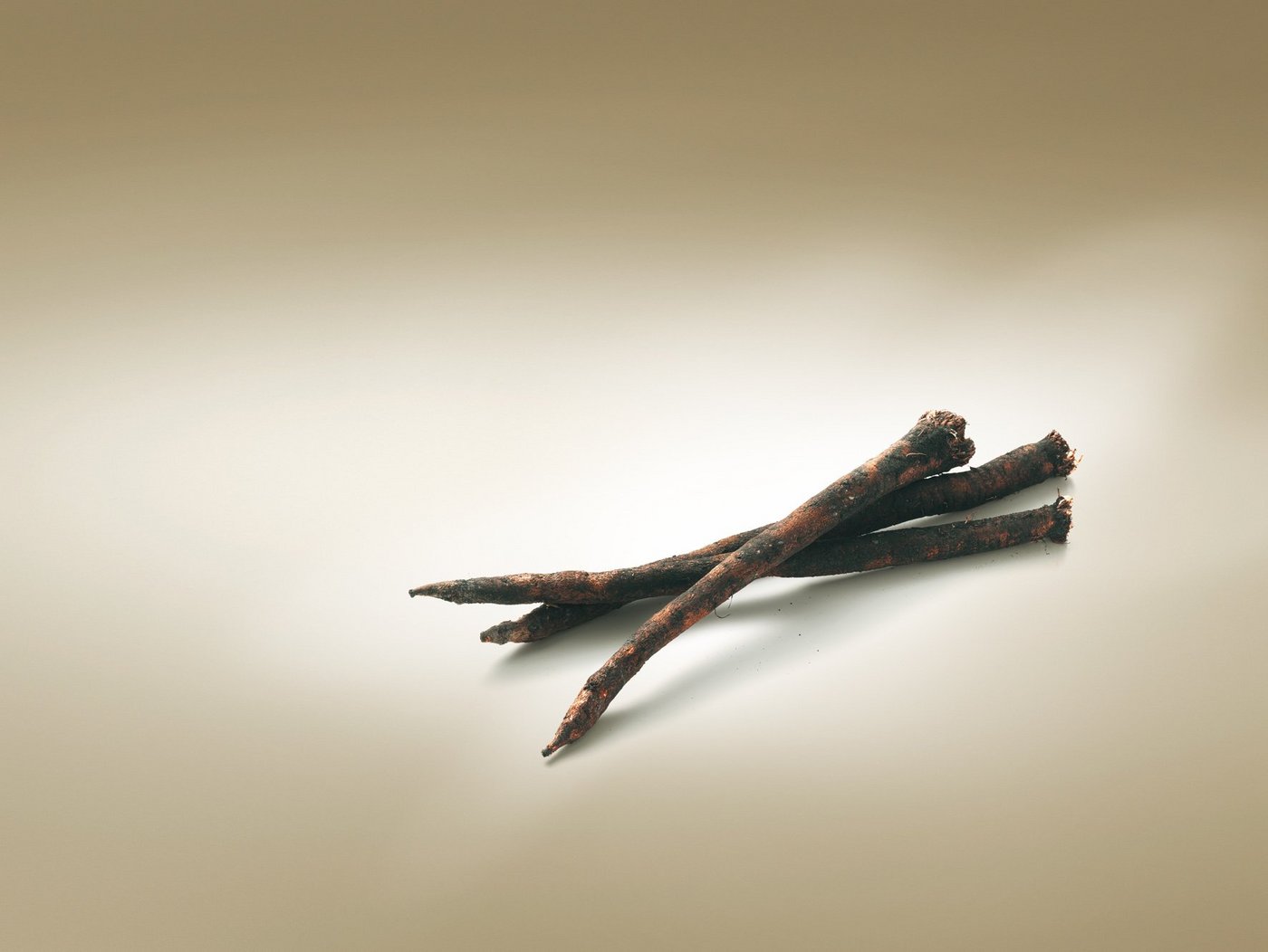 Besonders an der Schwarzwurzel ist der Inhaltsstoff Inulin, ein Zucker, der für Diabetiker äusserst gut geeignet ist. (Bild: VSGP)