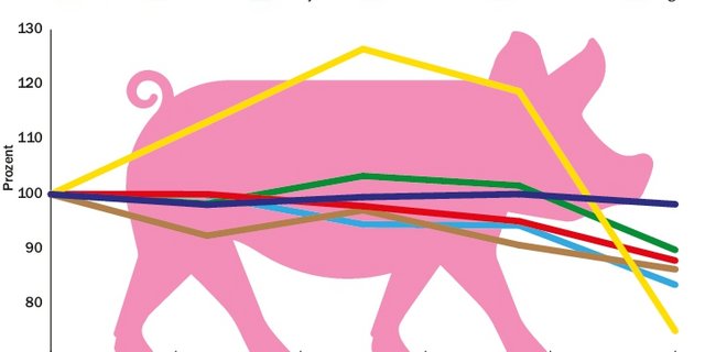 Der Schweinebestand hat in der Zentralschweiz in den letzten fünf Jahren um über 3200 DGVE abgenommen. (Grafik BauZ)
