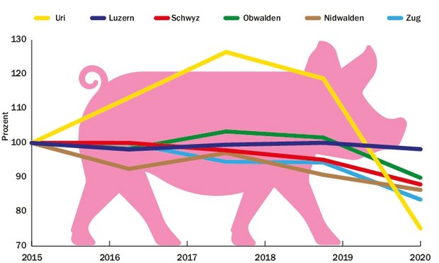 Der Schweinebestand hat in der Zentralschweiz in den letzten fünf Jahren um über 3200 DGVE abgenommen. (Grafik BauZ)