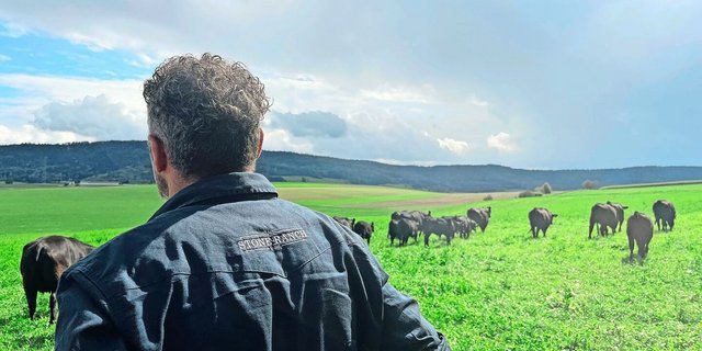 Auf der Stone Ranch weidet eine 150 köpfige Angusherde.
