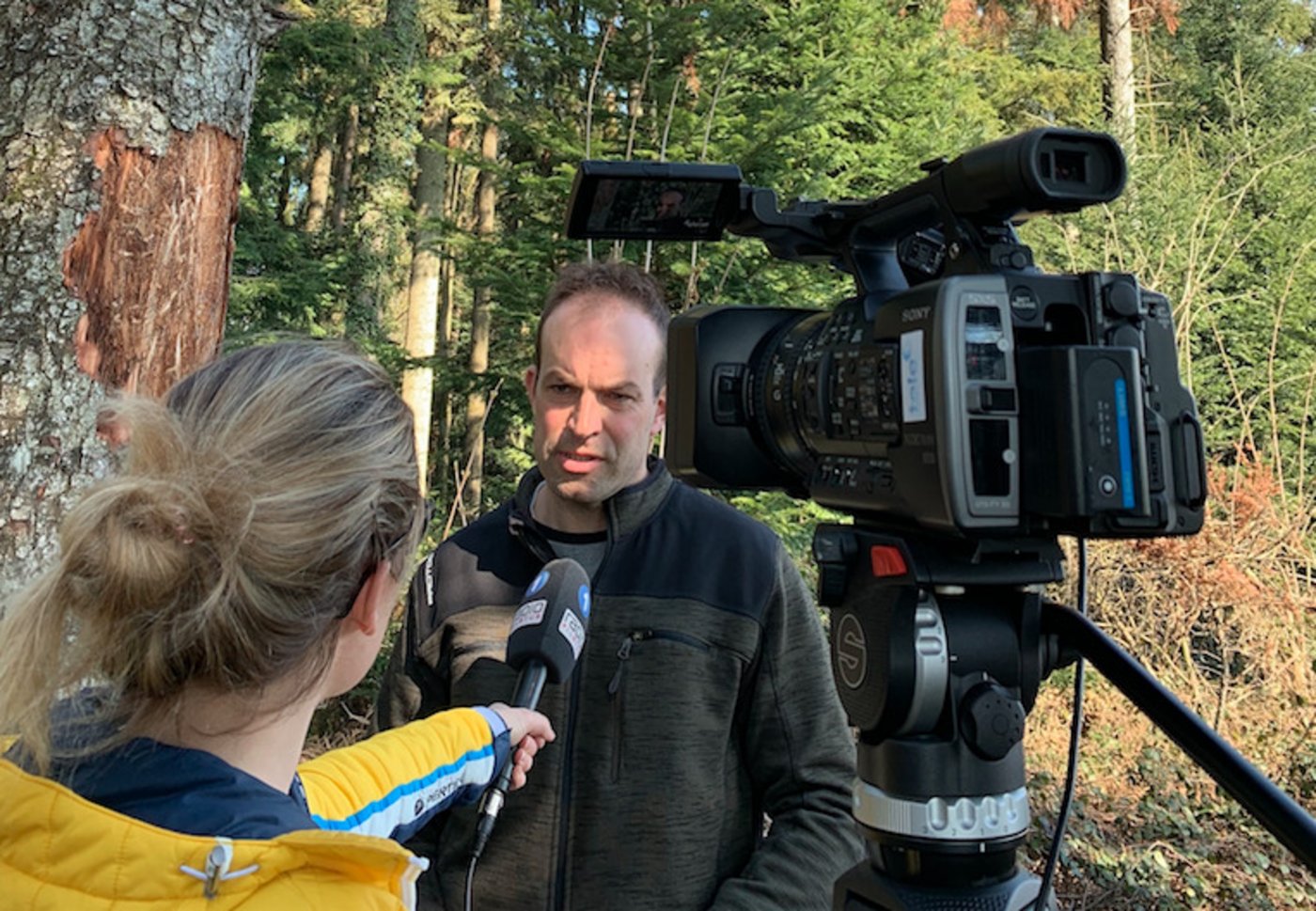 Christian Siegrist, Geschäftsführer Wald Seetal Habsburg beim Fernsehinterview. (Bilder js)