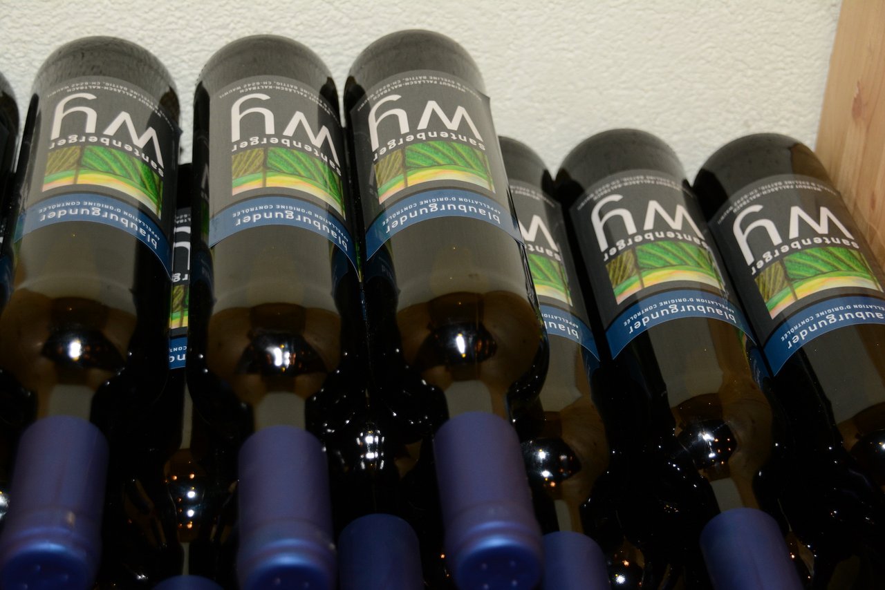 Drei Rotweine, hier der Blauburgunder, zwei Weissweine sowie Cuvée, Süsswein, Grappa und Marc entstehen auf Falläsch.