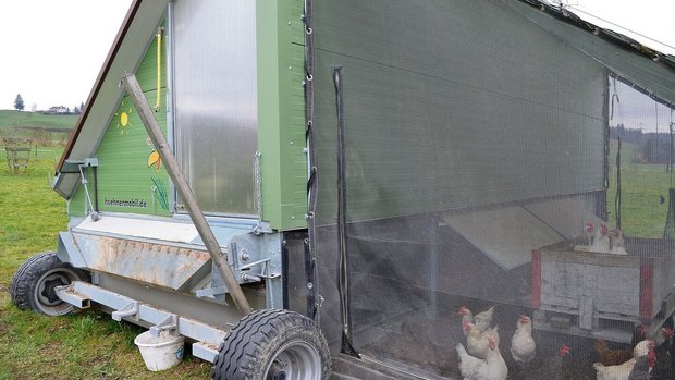 Mobilställe für Gefl Mobilställe für Geflügel werden in der Bioproduktion immer beliebter. Von der professionellen Lösung bis Marke Eigenbau ist alles dabei.
