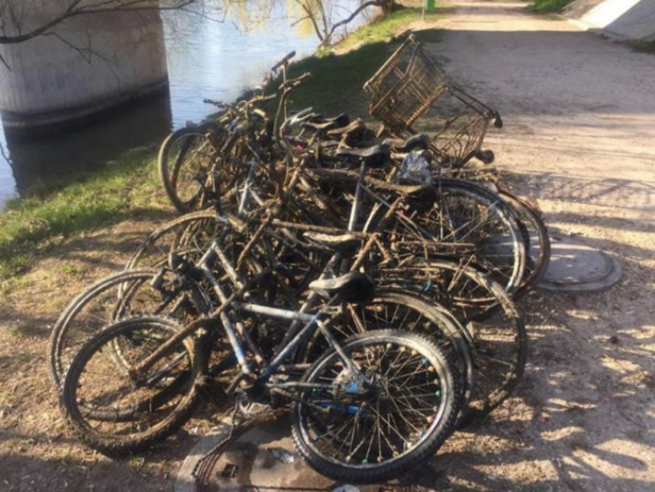 Im Fluss kann man doch nicht Fahrrad fahren ... (Bild Kantonspolizei Freiburg)