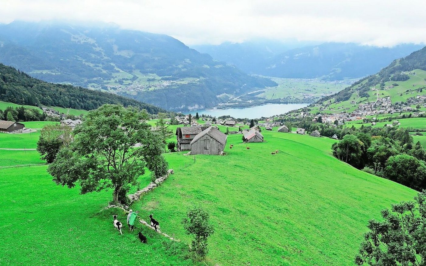 Helena Thoma ist mit ihrem Hund und ihren zwei Ziegenböcken unterwegs. Von ihrem Daheim aus geniesst sie einen wunderschönen Ausblick.